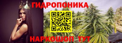 apvp Азнакаево