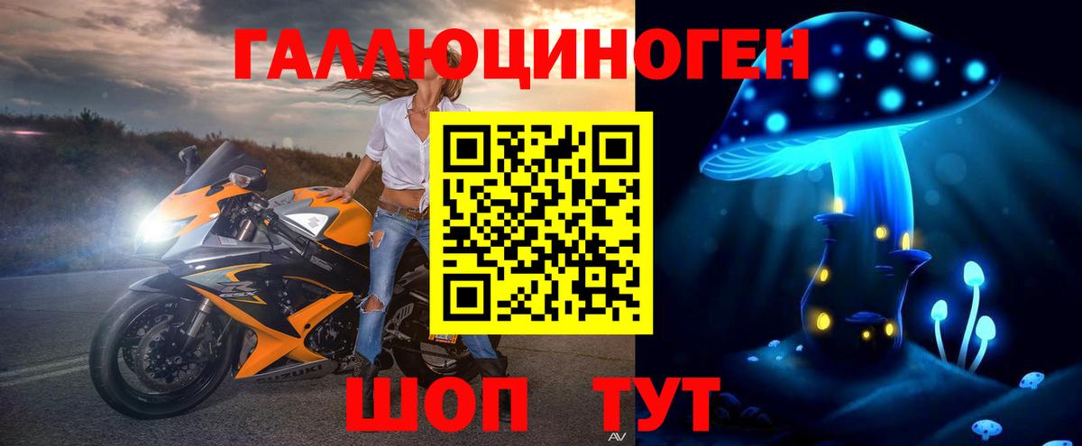 как найти   Вход с VPN  Апатиты  Псилоцибиновые грибы мухоморы 